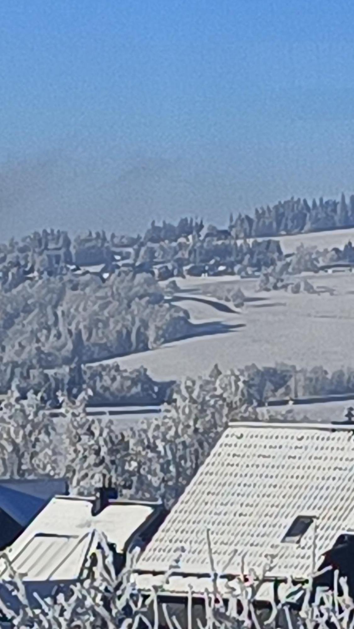 Pension Thueringer Wald Reichmannsdorf Exterior photo